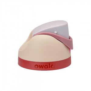 Can You See Me? Owala 9 Replacement Lids | AUP6283J