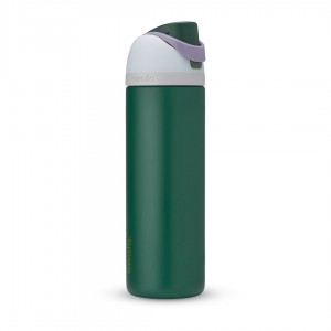Great Smoky Mountains Owala Stainless Steel 2 Great American Road Trip | AUD6436F
