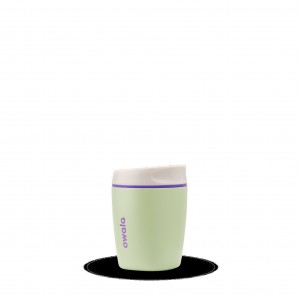 Hip Cactus Owala 10oz Stainless Steel SmoothSip® | AUA6386H