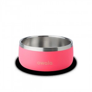 Hyper Flamingo Owala 2 Pet Bowl | AUD6332F
